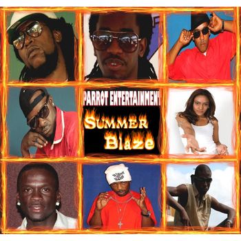 Various Artists - Summer Blaze