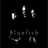 Bluefish - Live At the Coachhouse