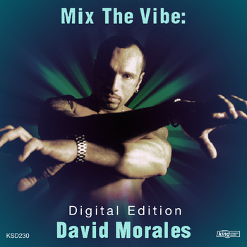 Various Artists - Mix the Vibe: David Morales