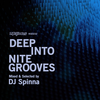 Various Artists - Deep into Nite Grooves: Mixed & Selected by DJ Spinna