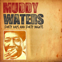 Muddy Waters - Forty Days and Forty Nights