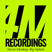 Stereo Monkey - Big Splash