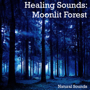 Natural Sounds - Healing Sounds: Moonlit Forest