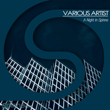 Various Artists - A Night In Spinne