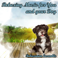 Relaxation Ensemble - Relaxing Music for You and Your Dog
