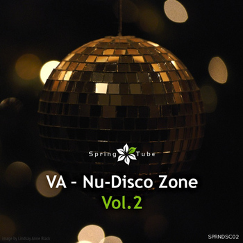 Various Artists - Nu Disco Zone, Vol. 2