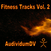 AudividumDV - Fitness Tracks, Vol. 2
