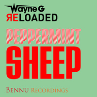 Wayne G - Peppermint Sheep