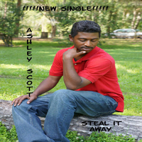Ashley Scott - Steal It Away - Single