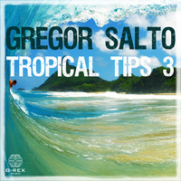 Gregor Salto - Gregor Salto - Tropical Tips 3