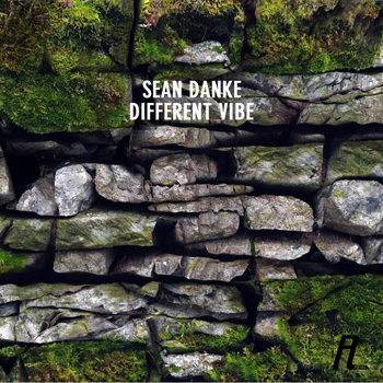 Sean Danke - Different Vibe