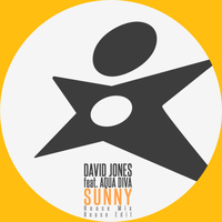 David Jones - Sunny (House Mix)