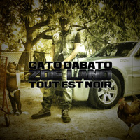Gato - Zoé Land Tout Est Noir