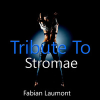 Fabian Laumont - Tribute to Stromae