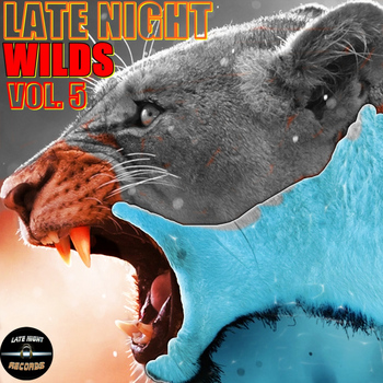 Various Artists - LATE NIGHT WILDS VOL. 5