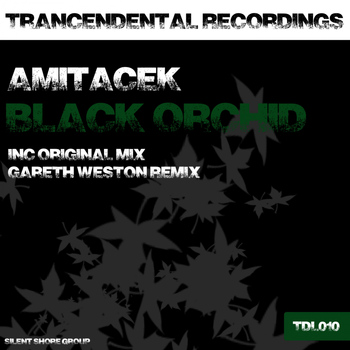 Amitacek - Black Orchid