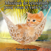 Relaxation Ensemble - Musique de relaxation pour vous et votre chat