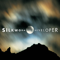 Silkworm - Developer (Explicit)