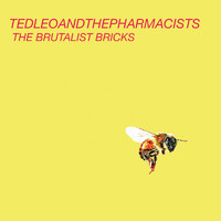 Ted Leo and the Pharmacists - The Brutalist Bricks (Explicit)