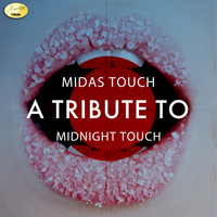 Ameritz - Karaoke - Midas Touch - A Tribute Midnight Star