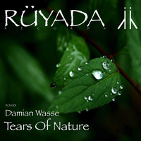 Damian Wasse - Tears Of Nature