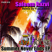 Saleem Razvi - Summer Never Ends EP