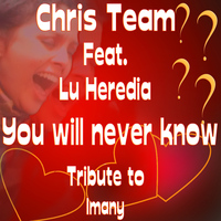 Chris Team - You Will Never Know