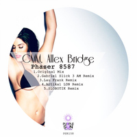 CMM, Allex Bridge - Phaser 8587