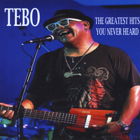 Tebo - The Greatest Hits You Never Heard