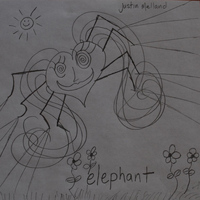 Justin Melland - Elephant