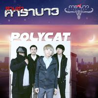 PolyCat - Sam Cha Carabao