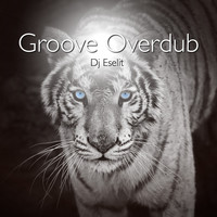 DJ Eselit - Groove Overdub