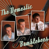 The Domestic Bumblebees - The Domestic Bumblebees