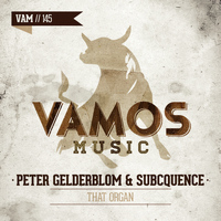 Peter Gelderblom, Subcquence - That Organ