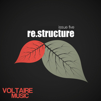 Various Artists - Re:structure Issue Five