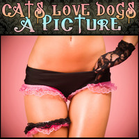 Cats Love Dogs - A Picture