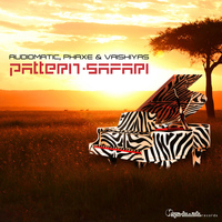 Audiomatic, Phaxe & Vaishiyas - Pattern Safari - Single