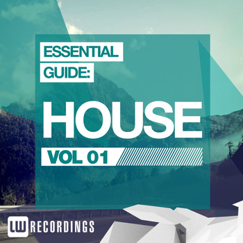 Various Artists - Essential Guide: House Vol. 01