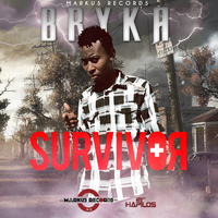 Bryka - Survivor - Single