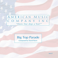 David Flavin - Big Top Parade