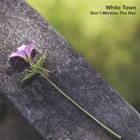 White Town - Don't Mention The War