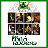 Wild Rovers - The Wild Rovers