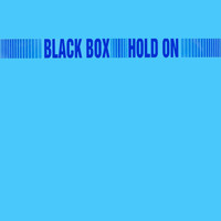 Black Box - Hold On