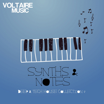 Various Artists - Synths and Notes 7.0