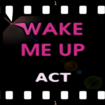 Act - Wake Me Up