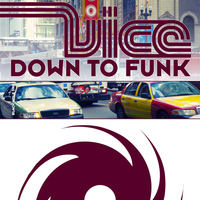 Vice - Down to Funk
