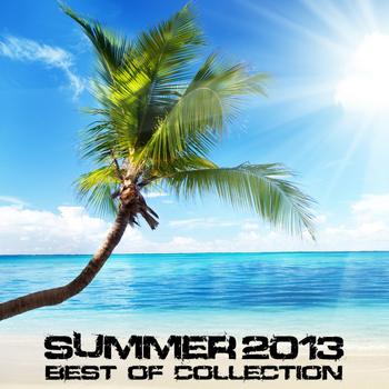 Various Artists - Summer 2013 - Best Of Collection