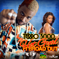 Terro 3000 - Hot Gyal Fi Broad Out - Single