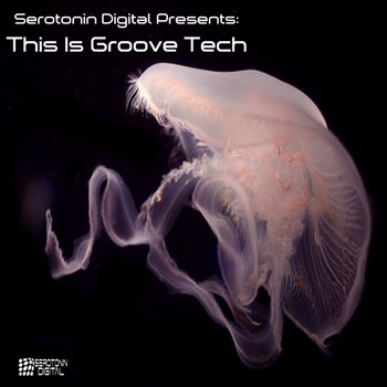 Various Artists - Serotonin Digital Presents: This Is Groove Tech