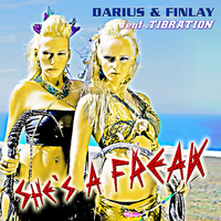 Darius & Finlay - She's a Freak (Explicit)